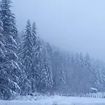 Lejlighed Przystanek Lesna-3 Nad Potokiem W Sercu Natury *