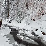 Przystanek Lesna-3 Nad Potokiem W Sercu Natury Lejlighed *