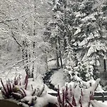 Lägenhet Przystanek Lesna-3 Nad Potokiem W Sercu Natury Targanice
