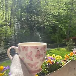 Przystanek Lesna-3 Nad Potokiem W Sercu Natury