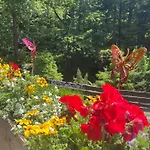 Przystanek Lesna-3 Nad Potokiem W Sercu Natury Apartman