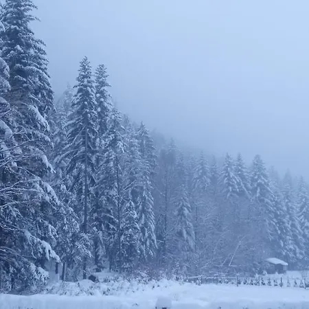 Apartmán Przystanek Lesna *