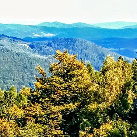 Przystanek Lesna Daire