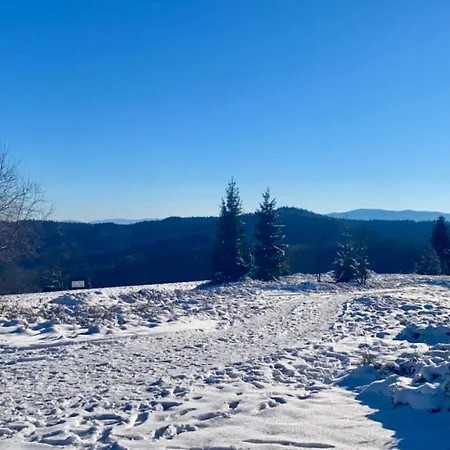 Διαμέρισμα Przystanek Lesna Targanice