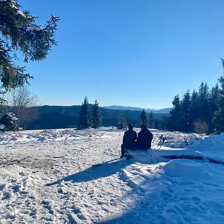 Przystanek Lesna-3 Nad Potokiem W Sercu Natury Daire *