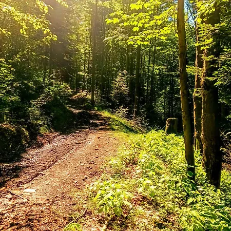 Przystanek Lesna - Blisko Kocierza Targanice