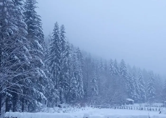 Apartamento Przystanek Leśna 3 Nad Strumieniem, Otoczone Lasem U Stóp Beskidów *