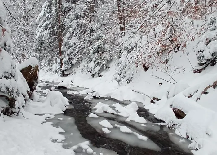 Przystanek Leśna 3 Nad Strumieniem, Otoczone Lasem U Stóp Beskidów Apartamento *