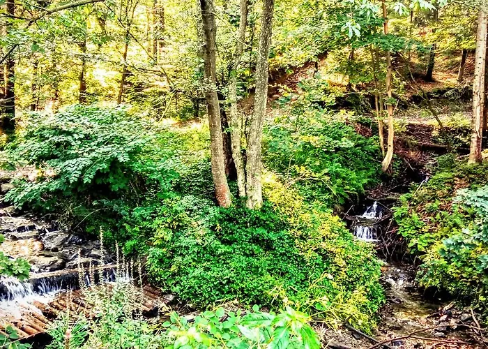 Przystanek Leśna 3 Nad Strumieniem, Otoczone Lasem U Stóp Beskidów Apartamento *