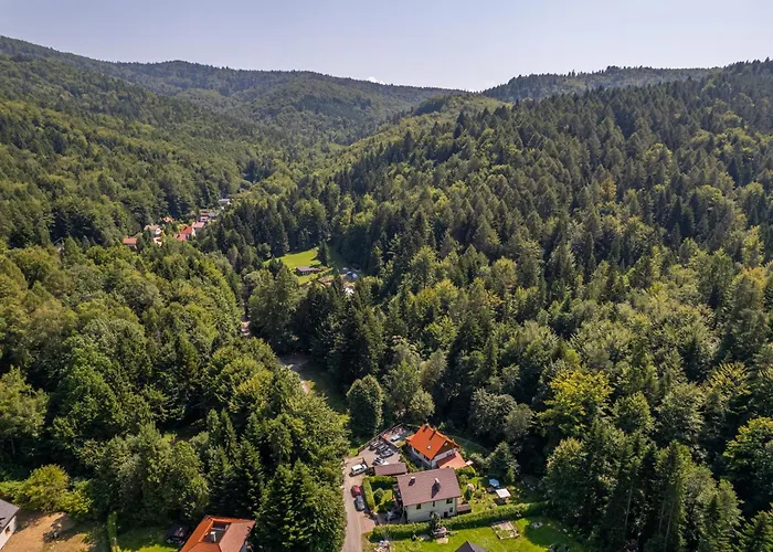 Przystanek Leśna 3 Nad Strumieniem, Otoczone Lasem U Stóp Beskidów Apartamento