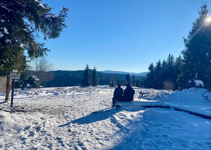 Przystanek Leśna 3 Nad Strumieniem, Otoczone Lasem U Stóp Beskidów Apartamento *