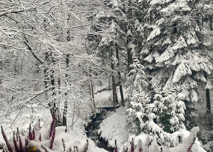 Apartamento Przystanek Leśna 3 Nad Strumieniem, Otoczone Lasem U Stóp Beskidów Targanice
