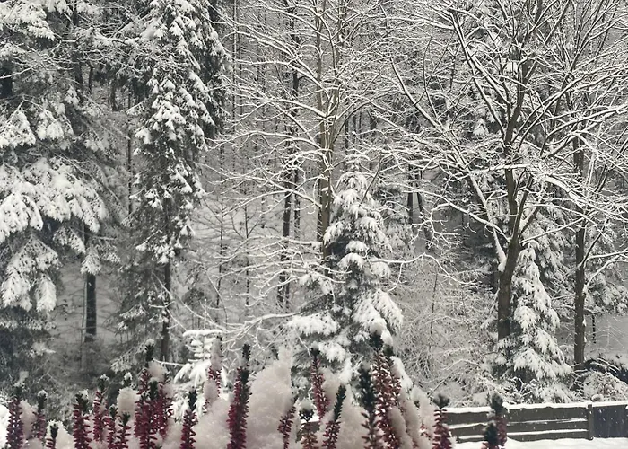 Daire Przystanek Lesna-3 Nad Potokiem W Sercu Natury